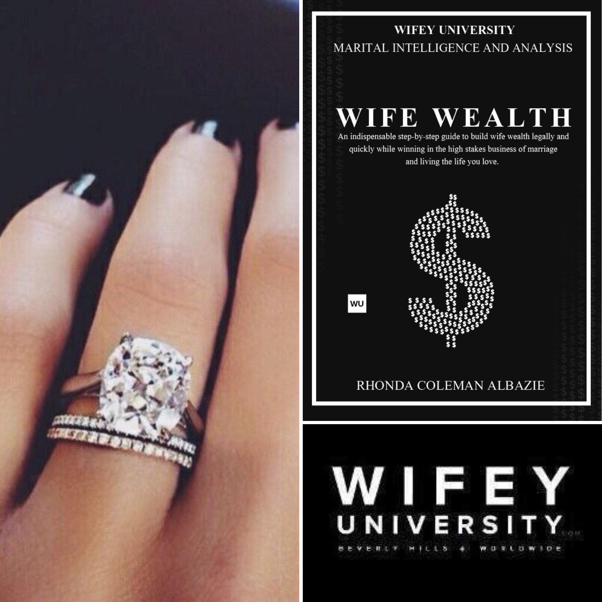 Wifey University Wife Wealth Series