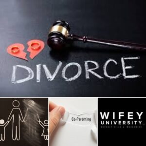Wifey University The Divorce and Co-Parenting Expo